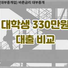 대학생 월변330만원대출 소액330만원대출 개인돈330만원 비대면330만원