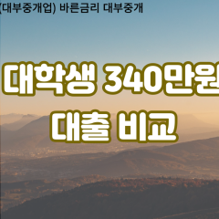 대학생 월변340만원대출 소액340만원대출 개인돈340만원 비대면340만원