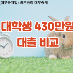 대학생 월변430만원대출 소액430만원대출 개인돈430만원 비대면430만원