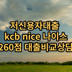 저신용자대출 kcb260점 저신용소액대출 nice260점 저신용비대면대출 나이스260점 신용대출가능한곳