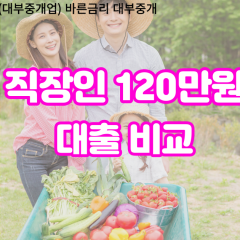 직장인 월변120만원대출 소액120만원대출 개인돈120만원 비대면120만원