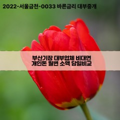 부산기장대부업체 부산기장비대면대부업체 대부업체개인돈 부산기장월변대부업체 부산기장소액대부업체