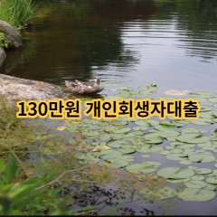 130만원 개인회생자대출 급전 당일 소액 일수 월변