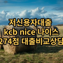 저신용자대출 kcb274점 저신용소액대출 nice274점 저신용비대면대출 나이스274점 신용대출비교상담