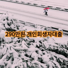 290만원 개인회생자대출 급전 당일 소액 일수 월변