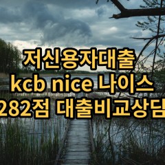 저신용자대출 kcb282점 저신용소액대출 nice282점 저신용비대면대출 나이스282점 신용대출비교상담