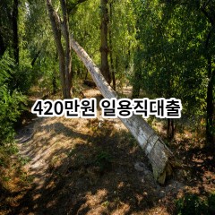 420만원 일용직대출 급전 당일 소액 일수 월변