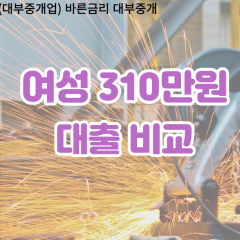 여성 월변310만원대출 소액310만원대출 개인돈310만원 비대면310만원