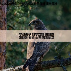 부산중구대부업체 부산중구비대면대부업체 대부업체개인돈 부산중구월변대부업체 부산중구소액대부업체