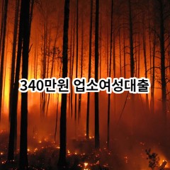 340만원 업소여성대출 급전 당일 소액 일수 월변