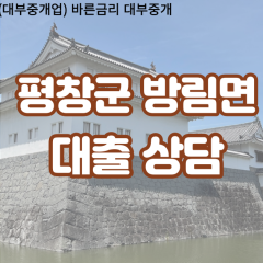 방림면대부업체 방림면비대면대출 평창군대부업체개인돈 방림면월변대부대출 방림면소액대부업체