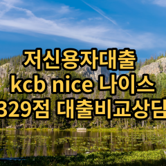 저신용자대출 kcb329점 저신용소액대출 nice329점 저신용비대면대출 나이스329점 신용대출비교상담