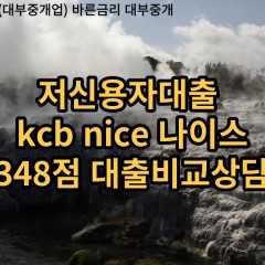 저신용자대출 kcb348점 저신용소액대출 nice348점 저신용비대면대출 나이스348점 신용대출비교상담