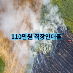 110만원 직장인대출 급전 당일 소액 일수 월변