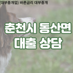 동산면대부업체 동산면비대면대출 춘천시대부업체개인돈 동산면월변대부대출 동산면소액대부업체