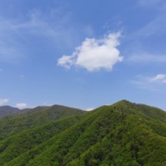 충남공주 대부대출 충남공주 무직자사금융 충남공주 무직자대학생대출 충남공주 개인회생자무직자대출 비교상담가능한곳