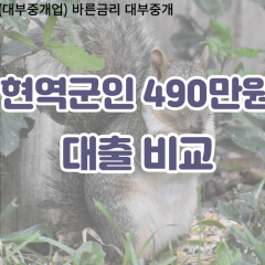 현역군인 비대면490만원대출 개인돈490만원대출 소액490만원 월변490만원