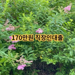 170만원 직장인대출 급전 당일 소액 일수 월변