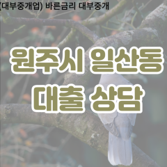 일산동대부업체 일산동비대면대출 원주시대부업체개인돈 일산동월변대부대출 일산동소액대부업체