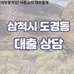 도경동대부업체 도경동비대면대출 삼척시대부업체개인돈 도경동월변대부대출 도경동소액대부업체