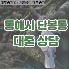 단봉동대부업체 단봉동비대면대출 동해시대부업체개인돈 단봉동월변대부대출 단봉동소액대부업체