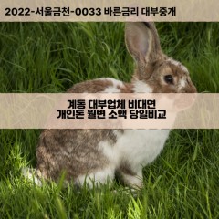 계동대부대출 계동비대면대출 종로구대부업체개인돈 계동월변대부업체 계동소액월변대출