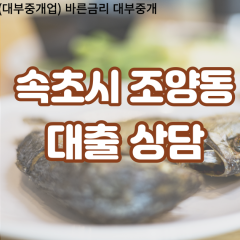 조양동대부업체 조양동비대면대출 속초시대부업체개인돈 조양동월변대부대출 조양동소액대부업체