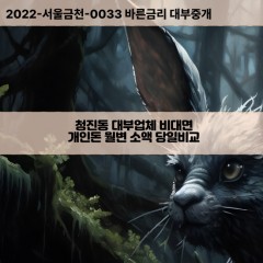 청진동대부대출 청진동비대면대출 종로구대부업체개인돈 청진동월변대부업체 청진동소액월변대출