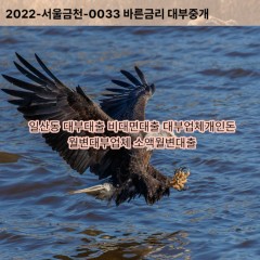 일산동대부대출 일산동비대면대출 고양시일산서구대부업체개인돈 일산동월변대부업체 일산동소액월변대출