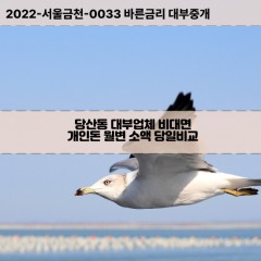 당산동1가대부대출 당산동2가비대면대출 영등포구대부업체개인돈 당산동월변대부업체 당산동3가소액월변대출