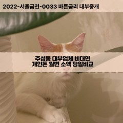 주성동대부대출 주성동비대면대출 용산구대부업체개인돈 주성동월변대부업체 주성동소액월변대출