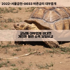 교남동대부대출 교남동비대면대출 종로구대부업체개인돈 교남동월변대부업체 교남동소액월변대출