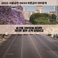 송선동대부대출 송선동비대면대출 충남공주대부업체개인돈 송선동월변대부업체 송선동소액월변대출