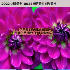 구운동대부대출 구운동비대면대출 수원시권선구대부업체개인돈 구운동월변대부업체 구운동소액월변대출