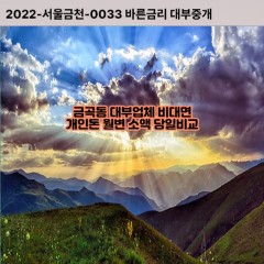 금곡동대부대출 금곡동비대면대출 수원시권선구대부업체개인돈 금곡동월변대부업체 금곡동소액월변대출