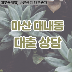 대내동대부업체 대내동대면대출 마산합포구대부업체개인돈 대내동월변대부대출 대내동소액대부업체