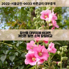 갈산동대부대출 갈산동비대면대출 대구달서구대부업체개인돈 갈산동월변대부업체 갈산동소액월변대출