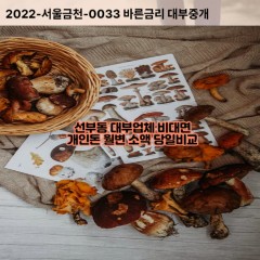 선부동대부대출 선부동비대면대출 안산시단원구대부업체개인돈 선부동월변대부업체 선부동소액월변대출