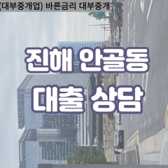 안골동대부업체 안골동대면대출 경상남도진해대부업체개인돈 안골동월변대부대출 안골동소액대부업체