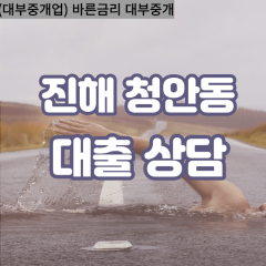 청안동대부업체 청안동대면대출 창원시진해대부업체개인돈 청안동월변대부대출 청안동소액대부업체