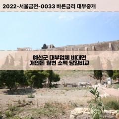 신양면대부대출 예산읍비대면대출 예산군대부업체개인돈 오가면월변대부업체 응복면소액월변대출