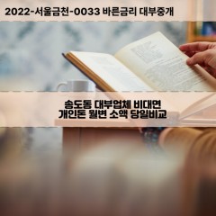 송도동대부대출 송도동비대면대출 인천연수구대부업체개인돈 송도동월변대부업체 송도동소액월변대출