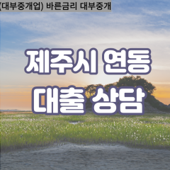 연동대부업체 연동비대면대출 제주시대부업체개인돈 연동월변대부대출 연동소액대부업체