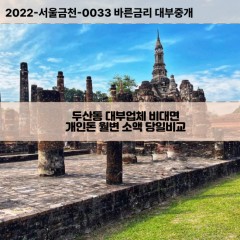 두산동대부대출 두산동비대면대출 대구수성구대부업체개인돈 두산동월변대부업체 두산동소액월변대출