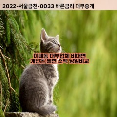 이패동대부대출 이패동비대면대출 남양주시대부업체개인돈 이패동월변대부업체 이패동소액월변대출