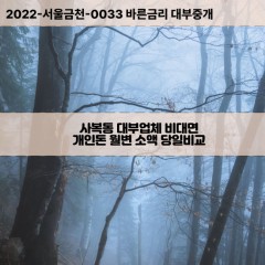 사복동대부대출 사복동비대면대출 대구동구대부업체개인돈 사복동월변대부업체 사복동소액월변대출