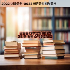 금토동대부대출 금토동비대면대출 성남시수정구대부업체개인돈 금토동월변대부업체 금토동소액월변대출