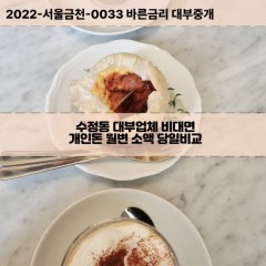 수정동대부대출 수정동비대면대출 부산동구대부업체개인돈 수정동월변대부업체 수정동소액월변대출