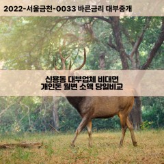 신용동대부대출 신용동비대면대출 광주북구대부업체개인돈 신용동월변대부업체 신용동소액월변대출