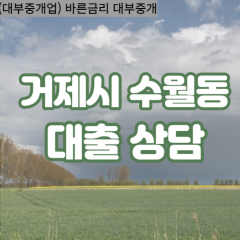 수월동대부업체 수월동비대면대출 거제시대부업체개인돈 수월동월변대부대출 수월동소액대부업체